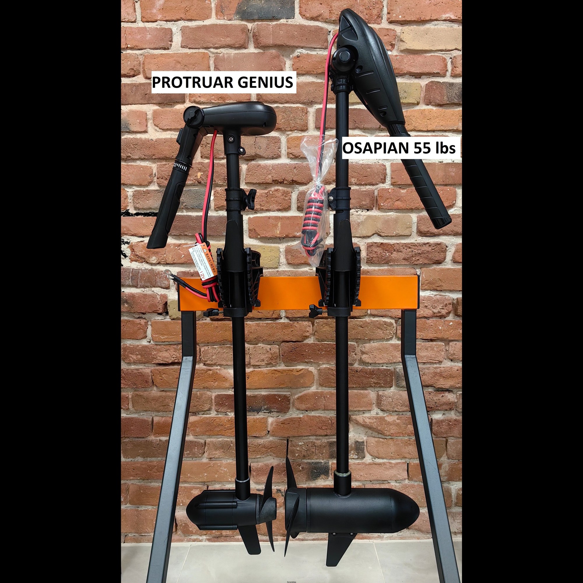Лодочный электромотор Haswing Protruar Genius