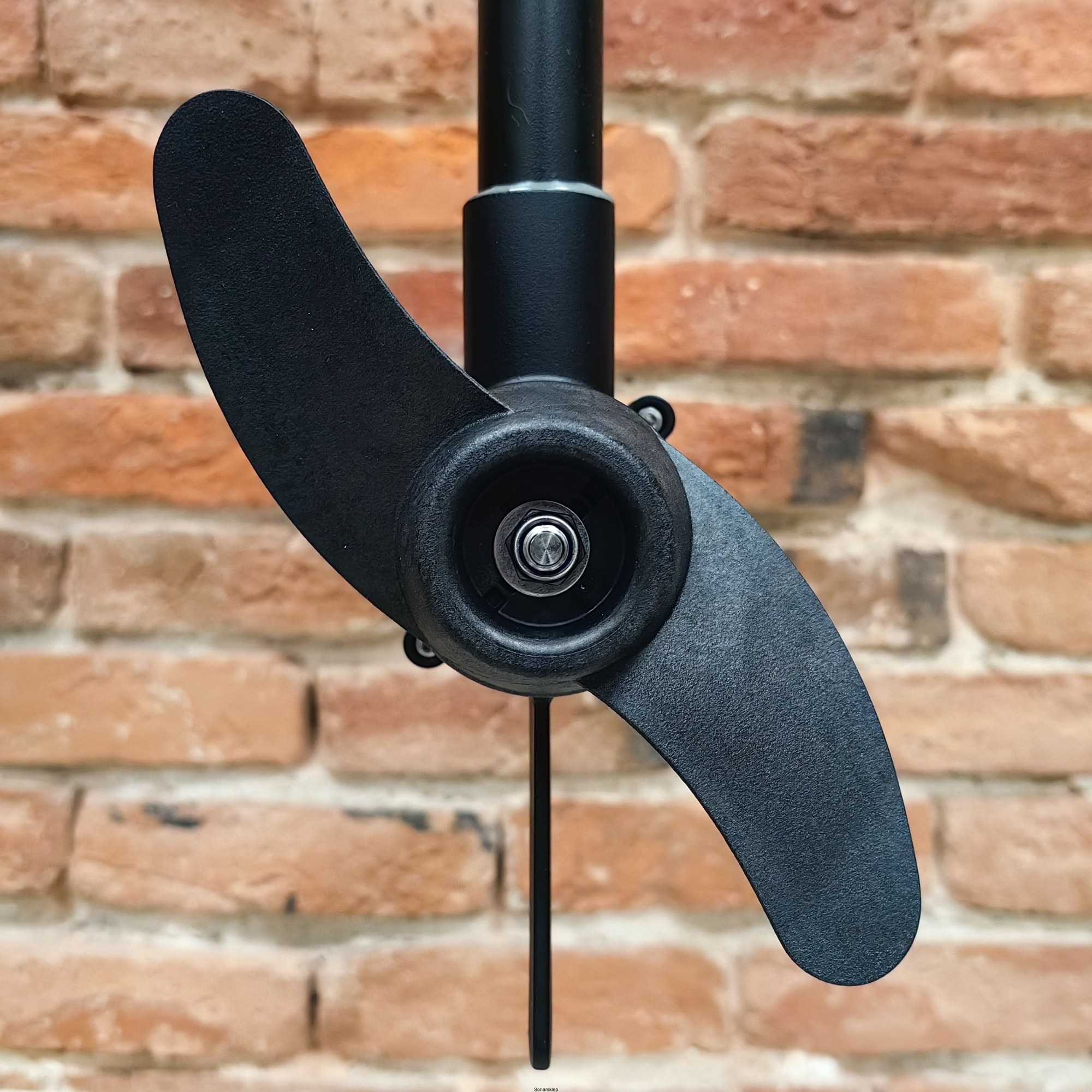 Лодочный электромотор Haswing Protruar Genius